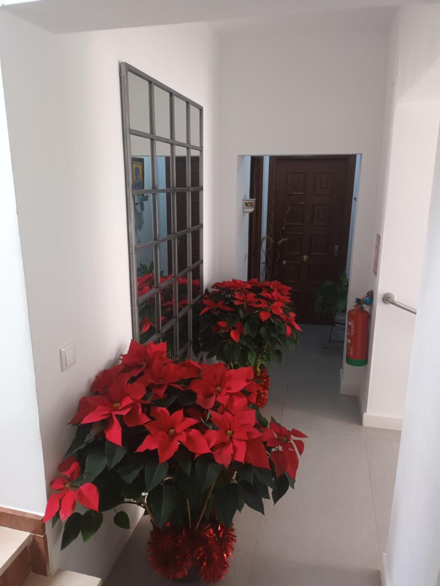 Casa San Mateo Apartman Córdoba Kültér fotó