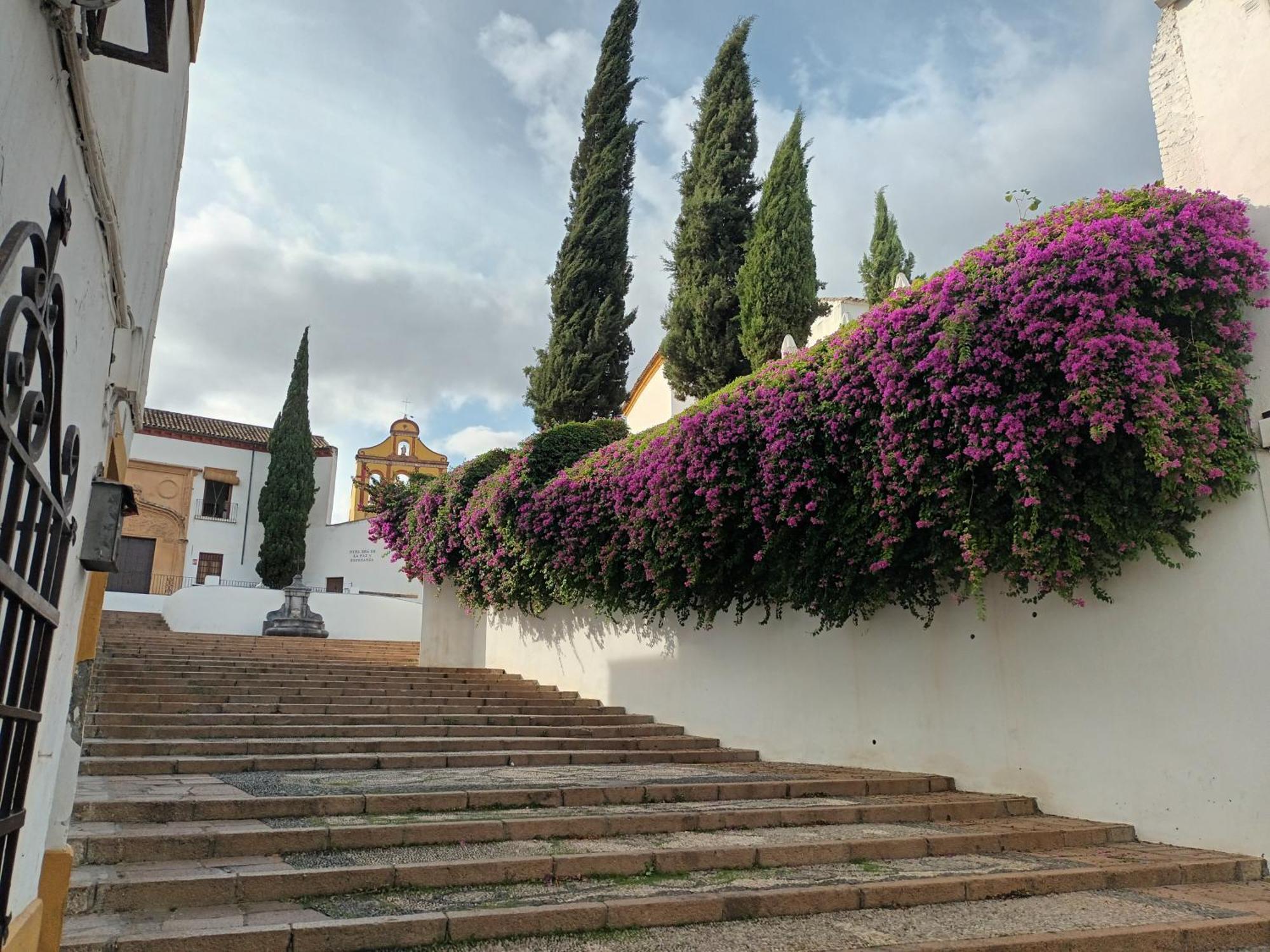 Casa San Mateo Apartman Córdoba Kültér fotó